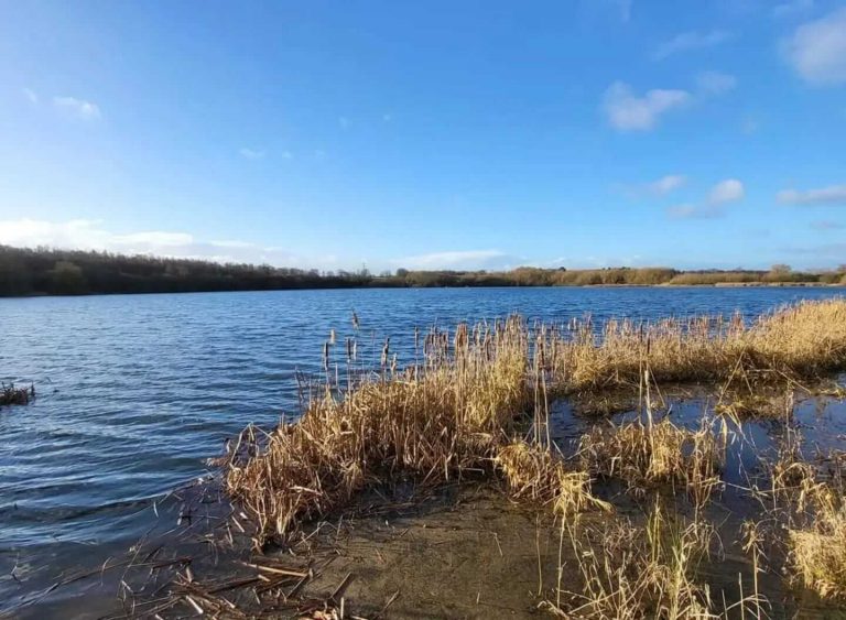 Tyersall Hall Pond