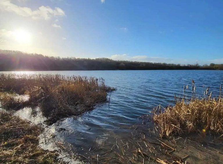 Tyersall Hall Pond