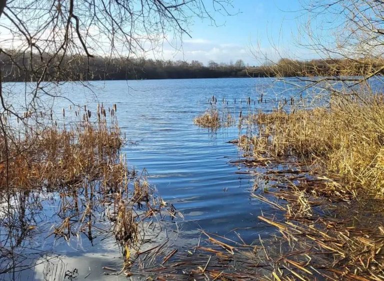 Tyersall Hall Pond