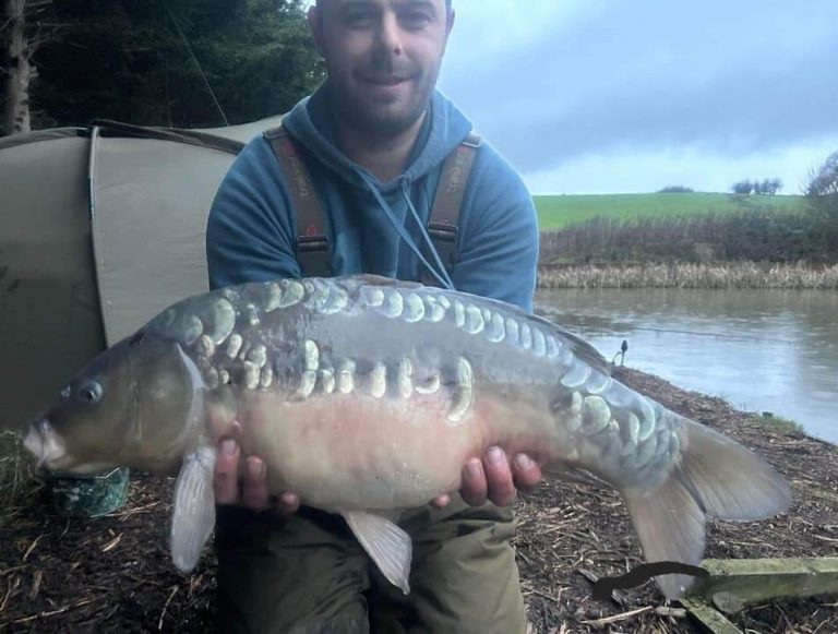 Tyersall Hall Pond