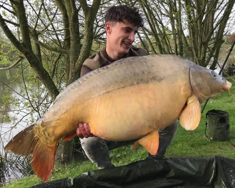 Tyersall Hall Pond