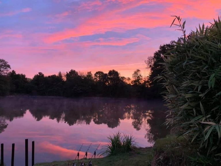 Tyersall Hall Pond