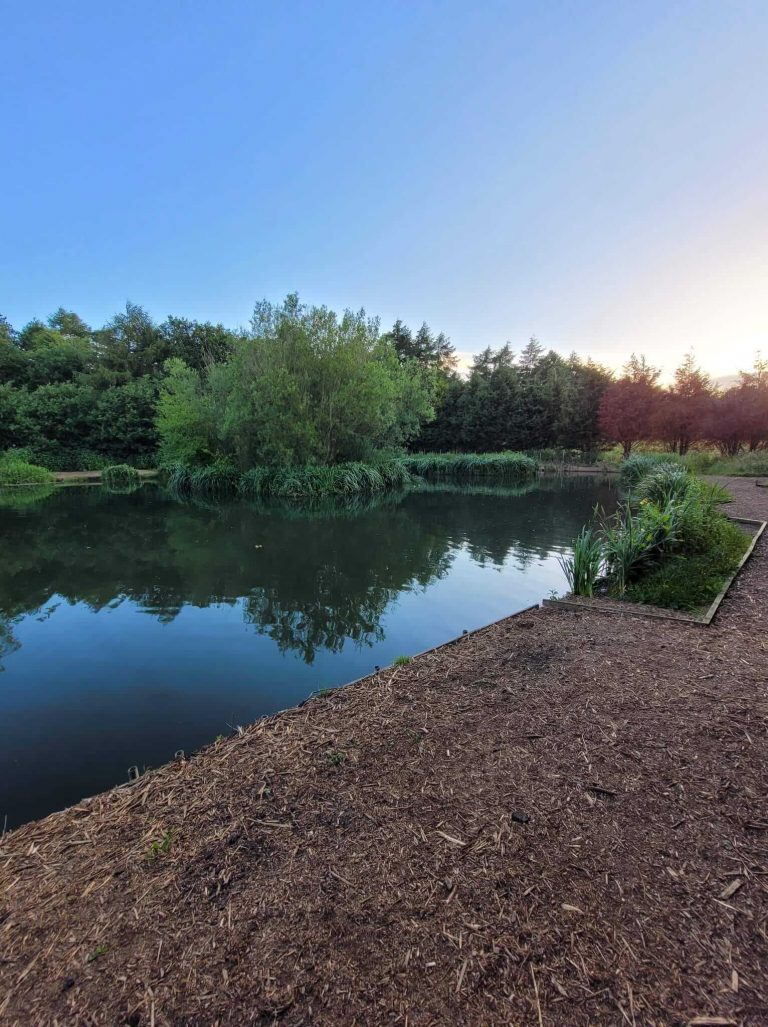 Tyersall Hall Pond