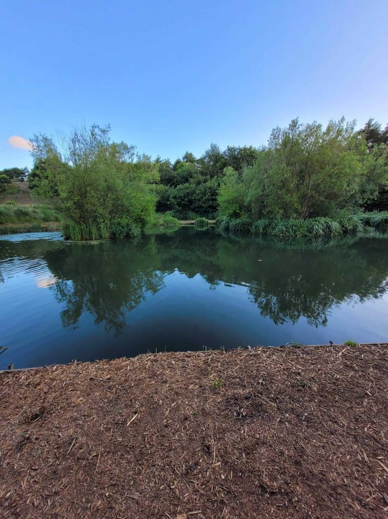 Tyersall Hall Pond