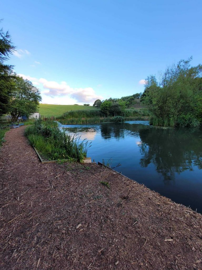 Tyersall Hall Pond